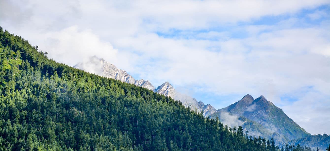 Triple R Counselling Services gallery image 3