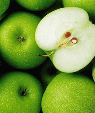 Nutrition Pathway gallery image 5