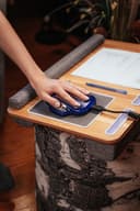 Sphère Holistik logo