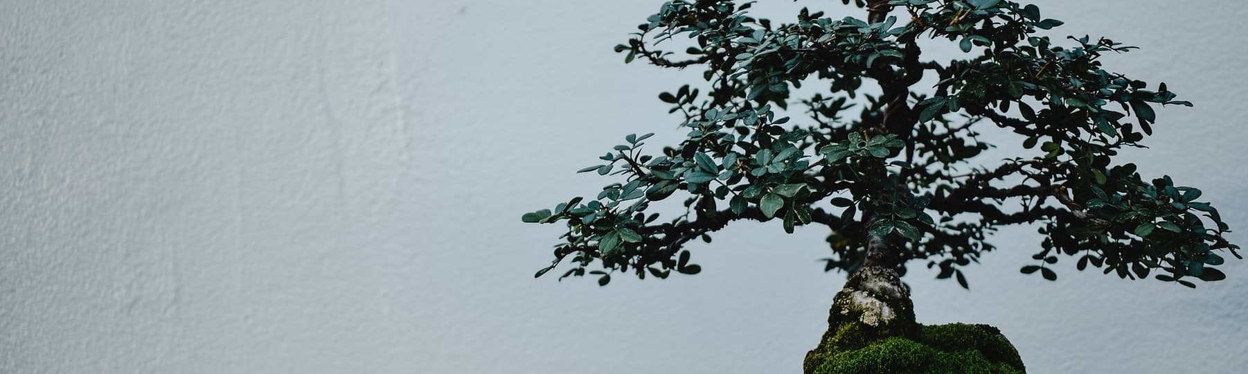 Taylor Byer-Nicoloff, Registered Massage Therapist gallery image 4