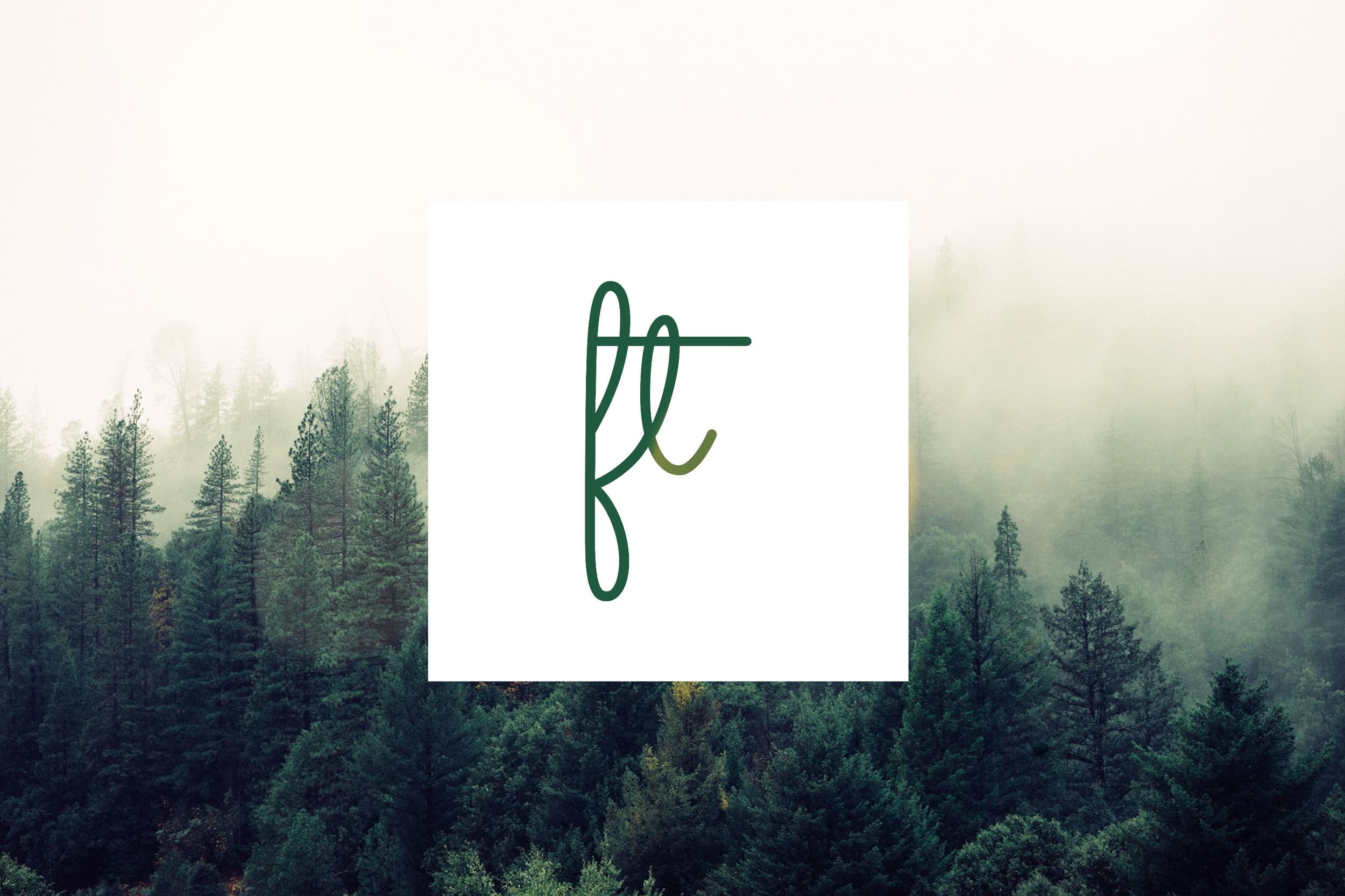 Field Trip Counselling and Wellness