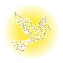 Parkland Wellness Center and Refugee Welcome Space gallery image 1