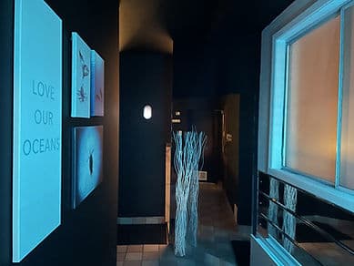 Sauna Carpediem gallery image 5