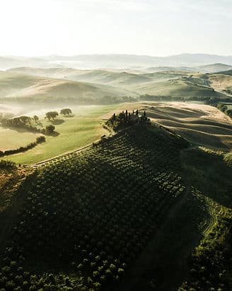 Deep Roots Life Coach Hamilton gallery image 5