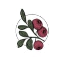 Transcend Holistic Nutrition & Wellness logo