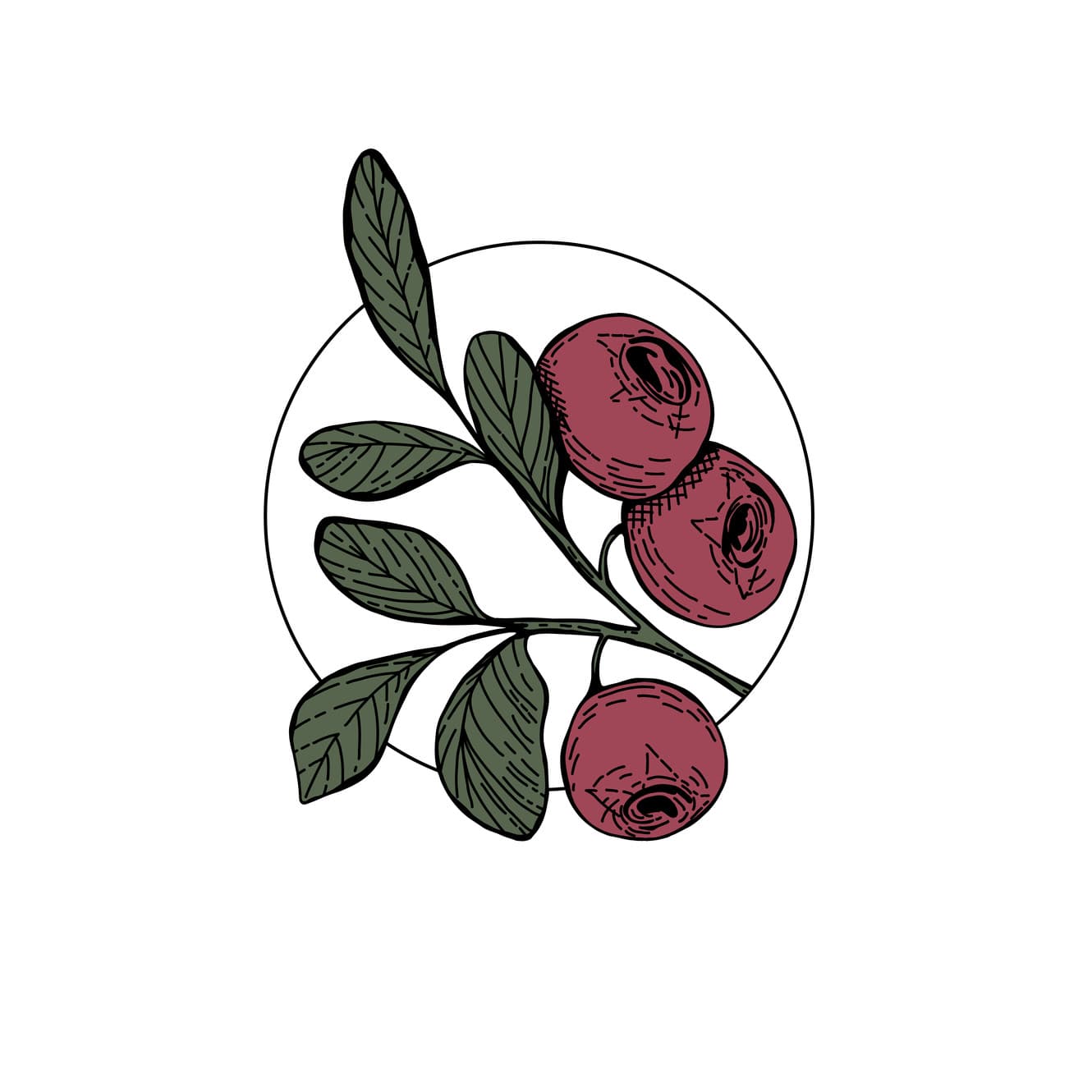 Transcend Holistic Nutrition & Wellness