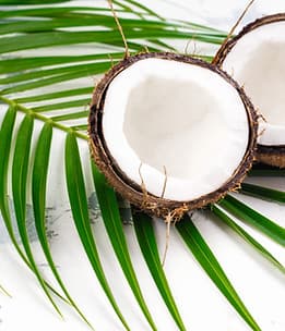 Farnaz Droodgar Holistic Wellness gallery image 5