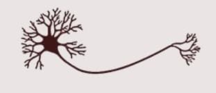 Synapse Counselling Moose Jaw