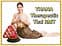 Thana Therapeutic Thai Registered Massage Therapist gallery image 1