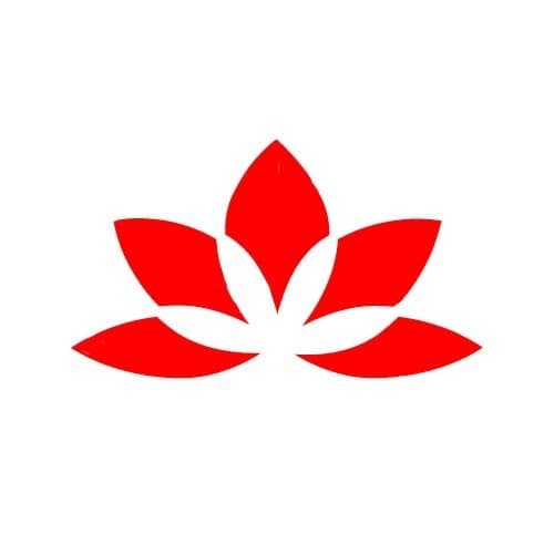 Sahaja Yoga Meditation - Langley