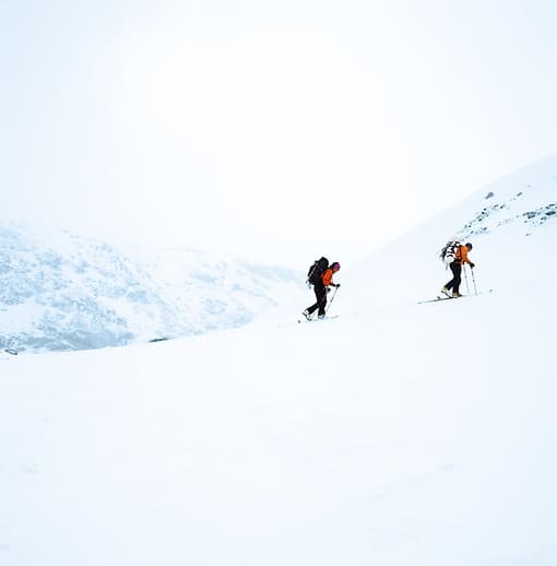 Field Trip Counselling and Wellness gallery image 4