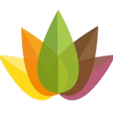 Life 'n Balance Wellness Centre | Chiropractic logo