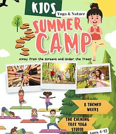 The Calming Tree Yoga Studio gallery image 3