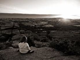 Reflections Counselling and Psychotherapy Services gallery image 4