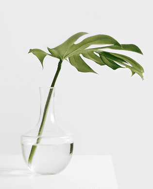 Mindful Empowerment Psychotherapy gallery image 3