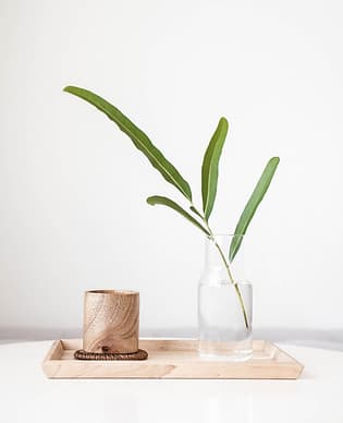 Mindful Empowerment Psychotherapy gallery image 5