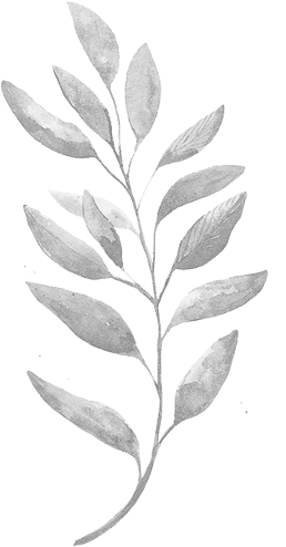 Nirvana Counselling Lounge, White Rock, BC gallery image 1