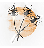 Grassland Massage @ The Powers & Jans Centre