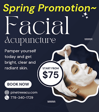 Pinetree Acupuncture (North Vancouver) 송화당 gallery image 5