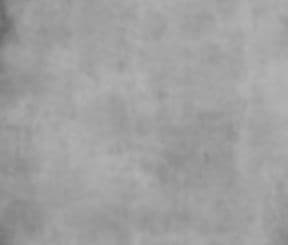 Damian Warner Fitness Centre North gallery image 1