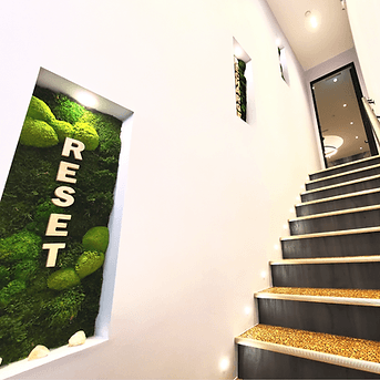 ZaZen Meditation Studio gallery image 5