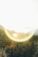 Wellness Alignment logo