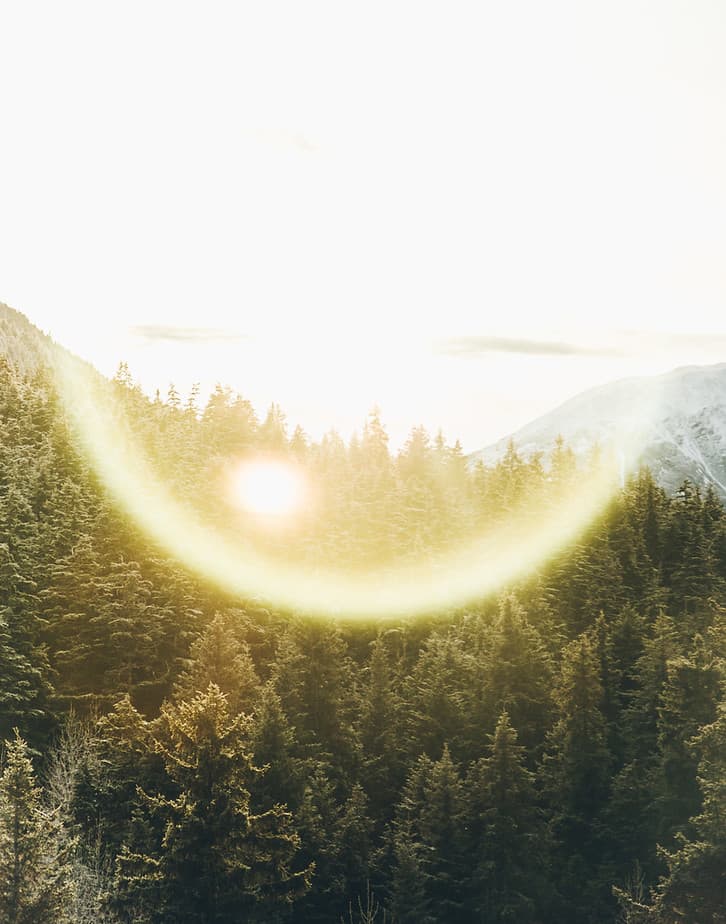 Wellness Alignment gallery image 2