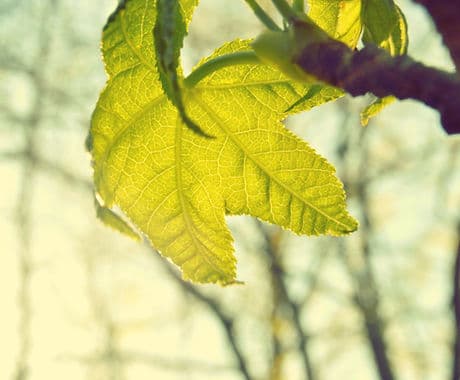 Triple R Counselling Services gallery image 5