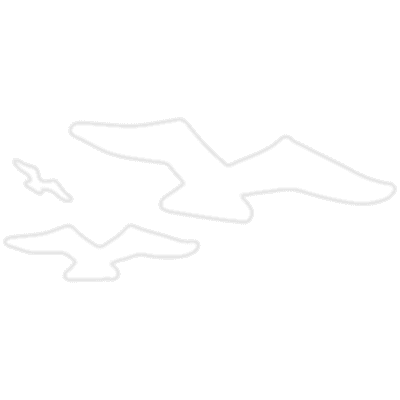 Jocelyne Bourget M.PS., Psychologue gallery image 3