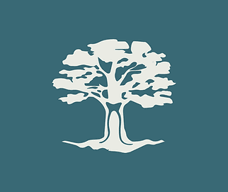 be well centre gallery image 5