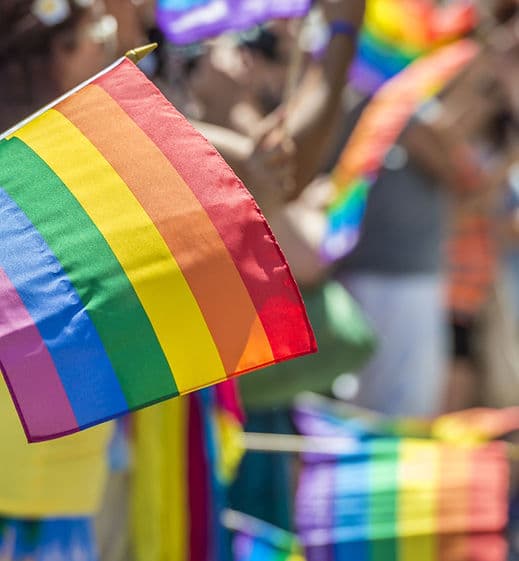 Owl Wellness gallery image 5