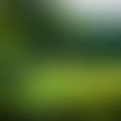 Kriyayoga Meditation Center - Yog Fellowship Temple gallery image 4