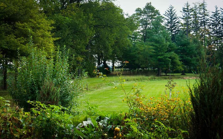 Kriyayoga Meditation Center - Yog Fellowship Temple gallery image 5