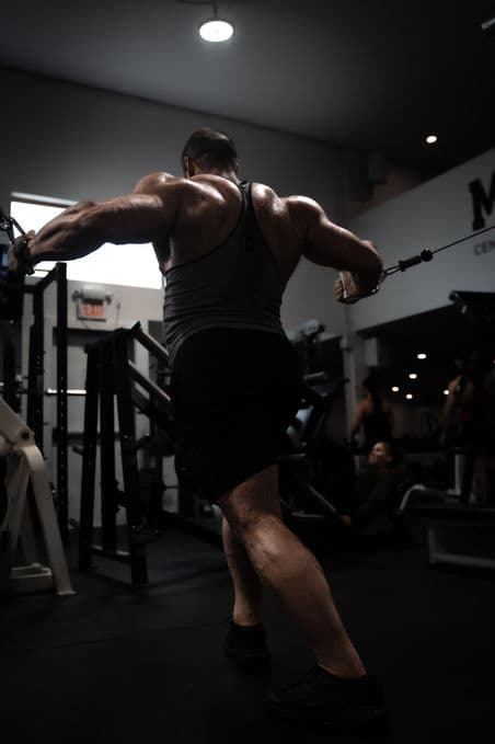 Muscle Club gallery image 4