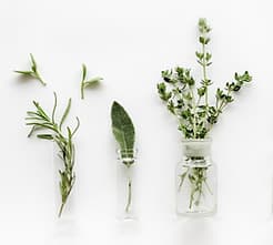 Jessica Botsas, R.H.N | Vital Wellness - Santé Vitale gallery image 4