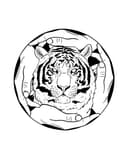 Sammy Long Acupuncture logo