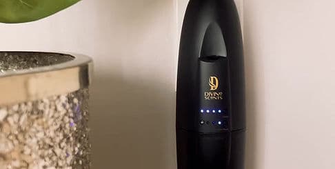 Divine Scents Diffusers gallery image 3