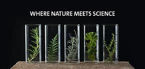 Esthétique Twinsanity Medical Spa gallery image 1