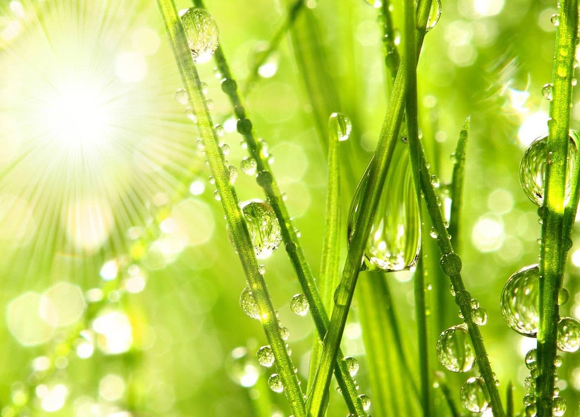 Clinique de Naturopathie et Hydrothérapie du Côlon gallery image 1