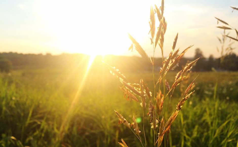 Triple R Counselling Services gallery image 2