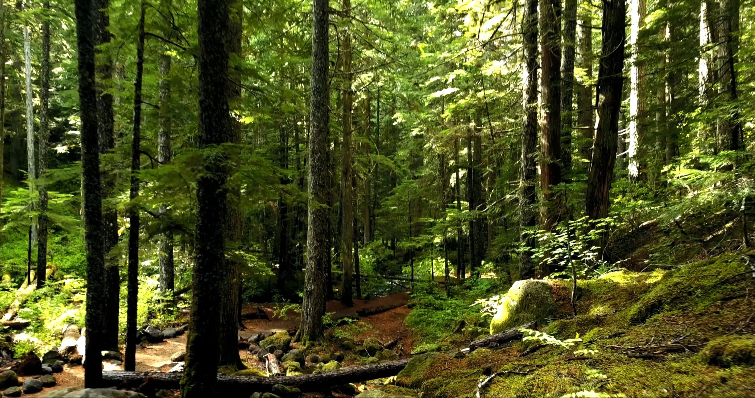 Hypnoce, Services d'Hypnothérapie