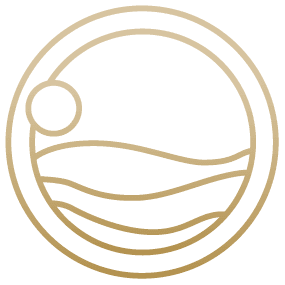 Summer Soul: Yoga, Pilates, Reformer Pilates & SUP Wellness Studio