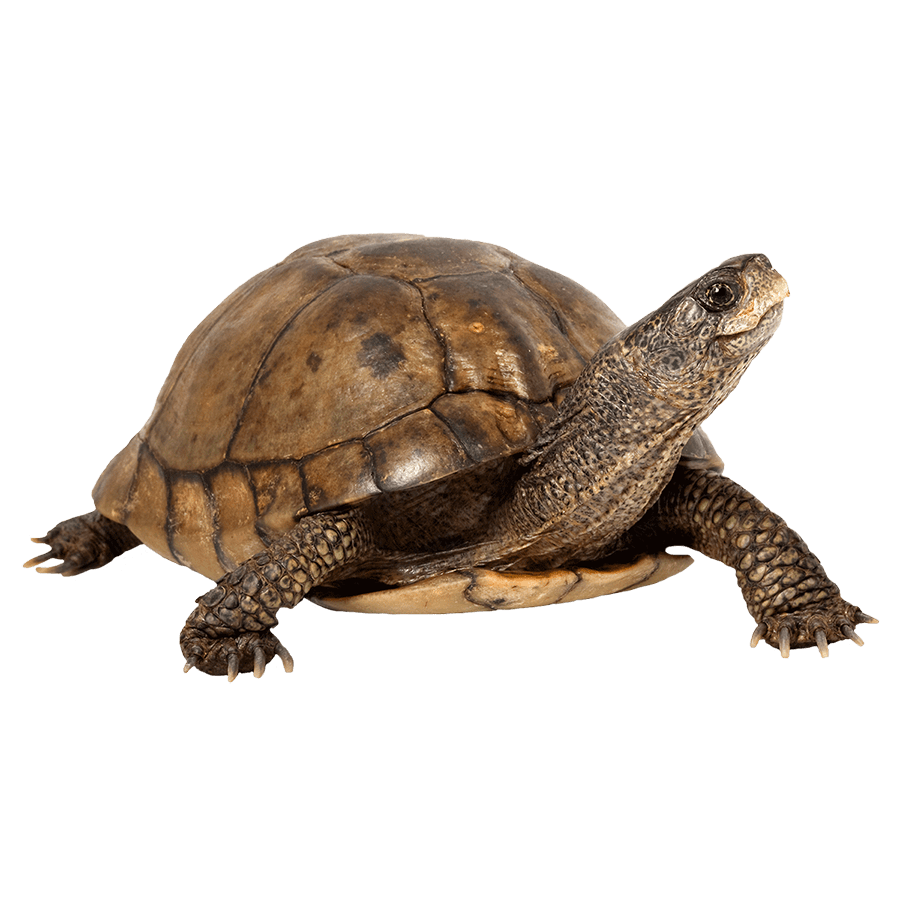 The Coaching Room gallery image 4