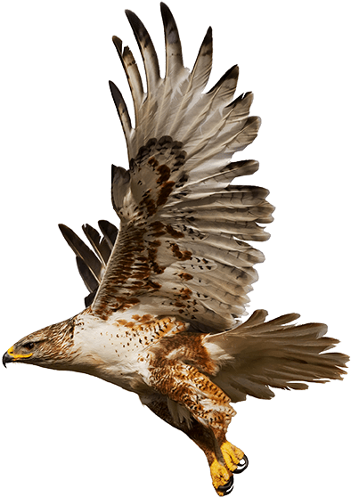 The Coaching Room gallery image 3