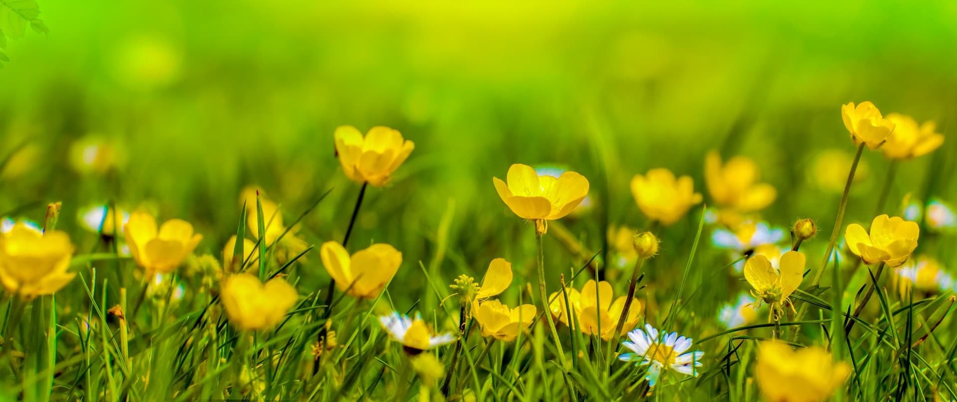 Good Life Holistic Health Inc. gallery image 1