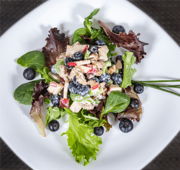 The Nutritional Gourmet - Author of the TEST Diet gallery image 2