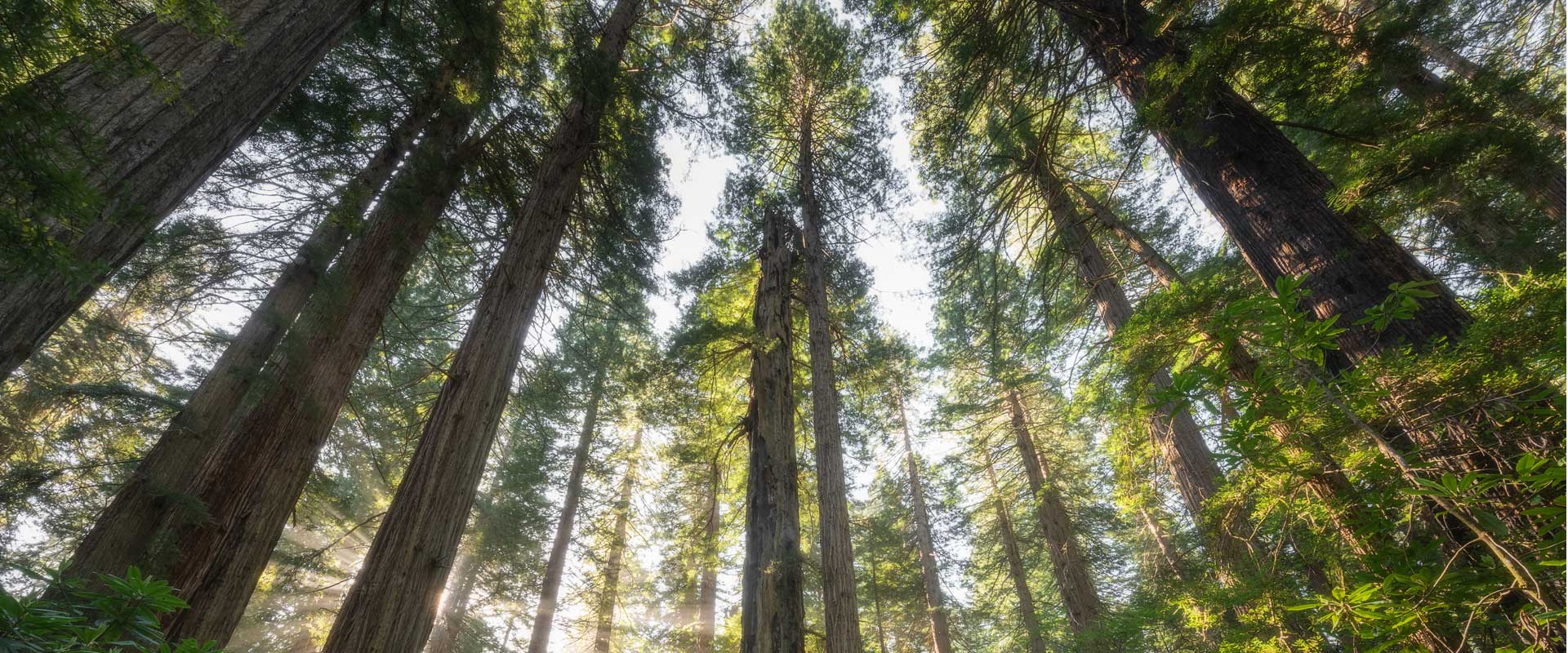 ThriveLife Counselling & Wellness gallery image 1