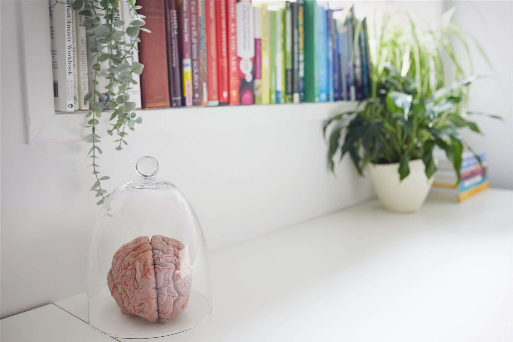 Tri Health Clinic gallery image 4