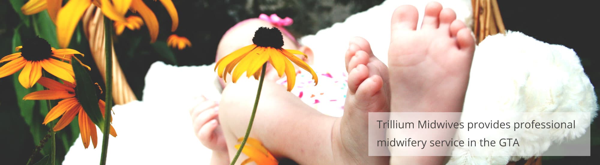 Trillium Midwives Scarborough GTA