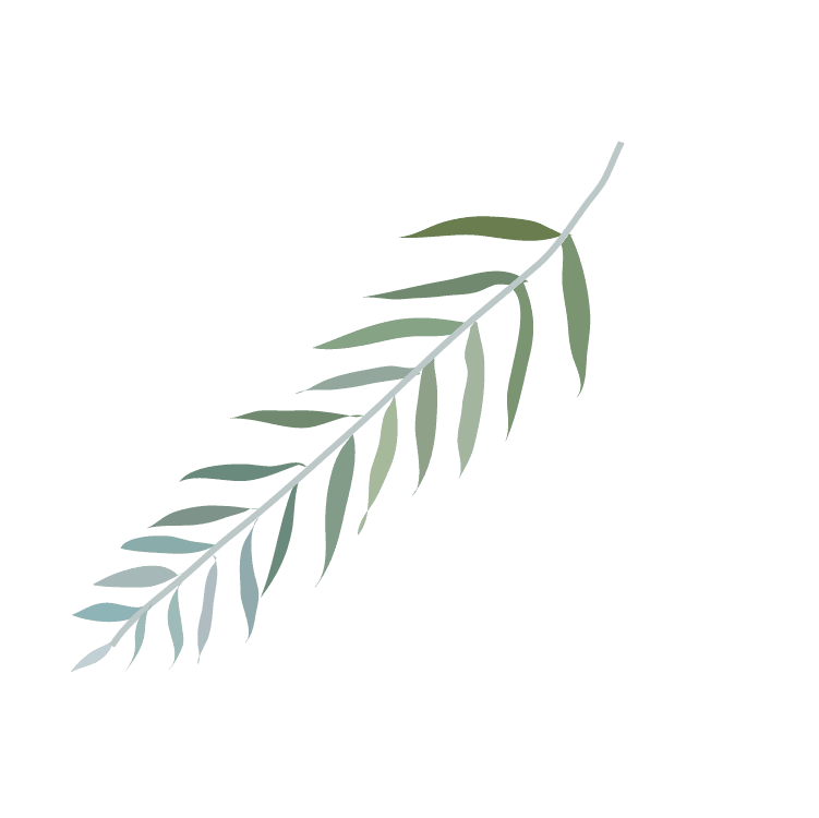 Wild Sage Massage Therapy Inc. gallery image 5